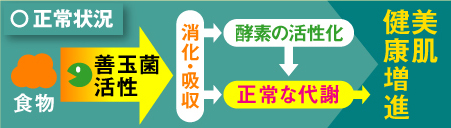 �������N���i