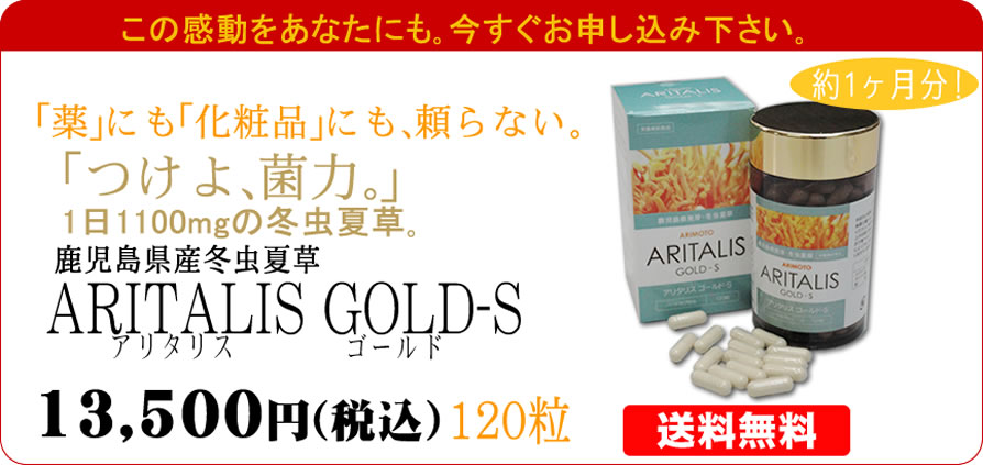 ���������Y�~���đ��@�A���^���X�S�[���hS