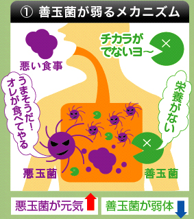 ���ʋۂ���郁�J�j�Y��