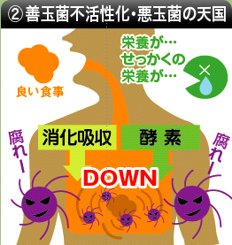 �����V���E���ʋۂ̓V��